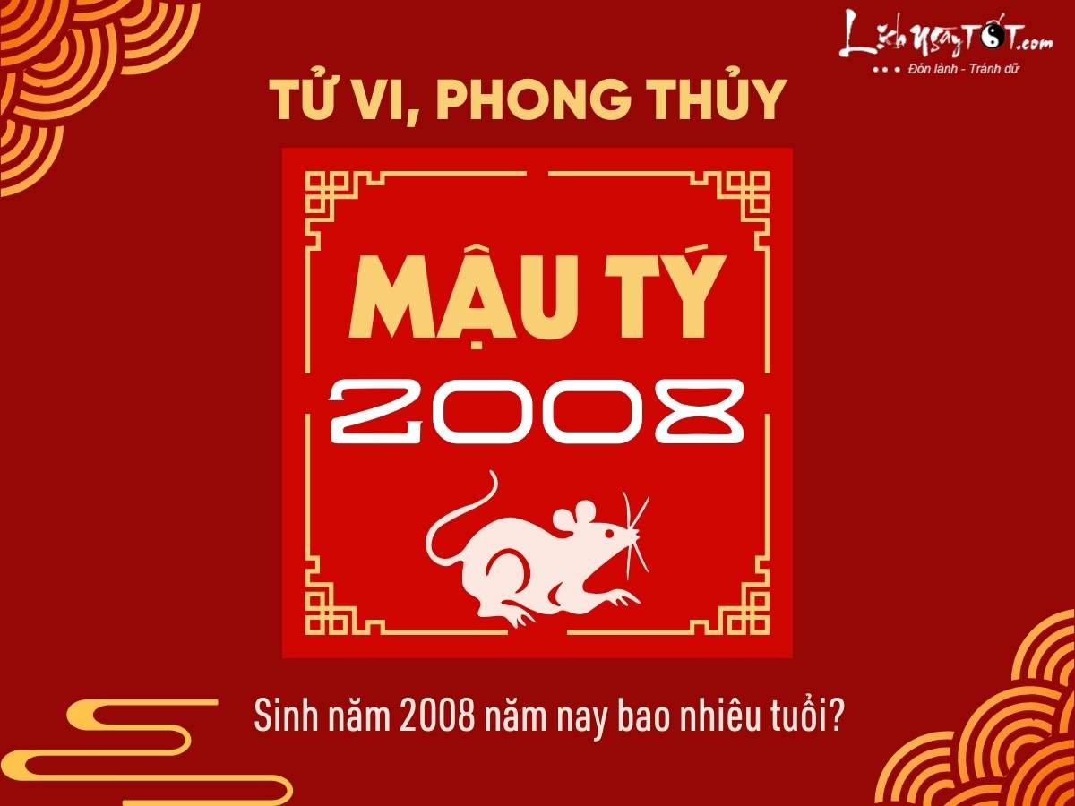 Năm nay 2008 bao nhiêu tuổi? Gallery 1