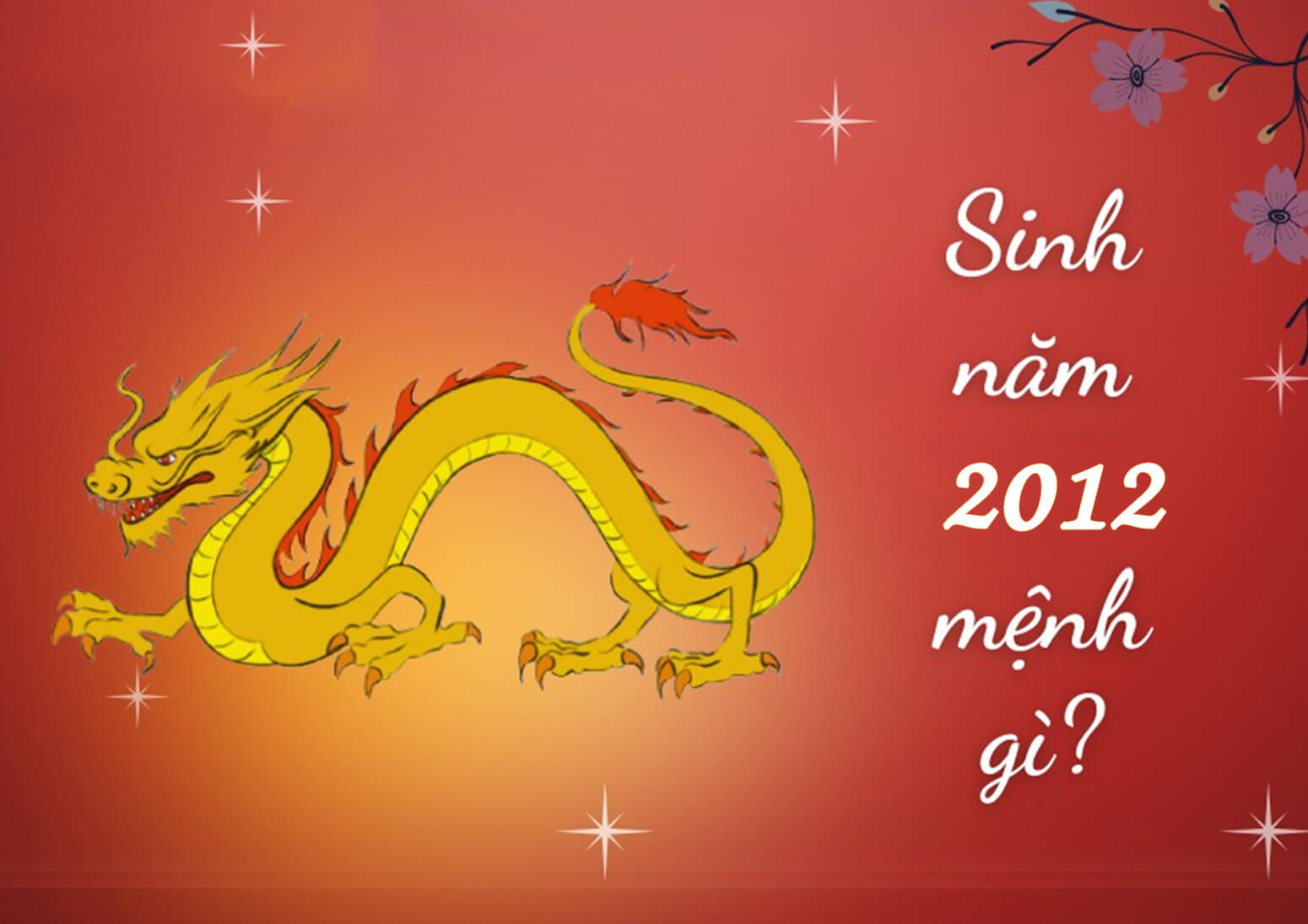 Sinh 2012 Bao Nhiêu Tuổi? Gallery 1