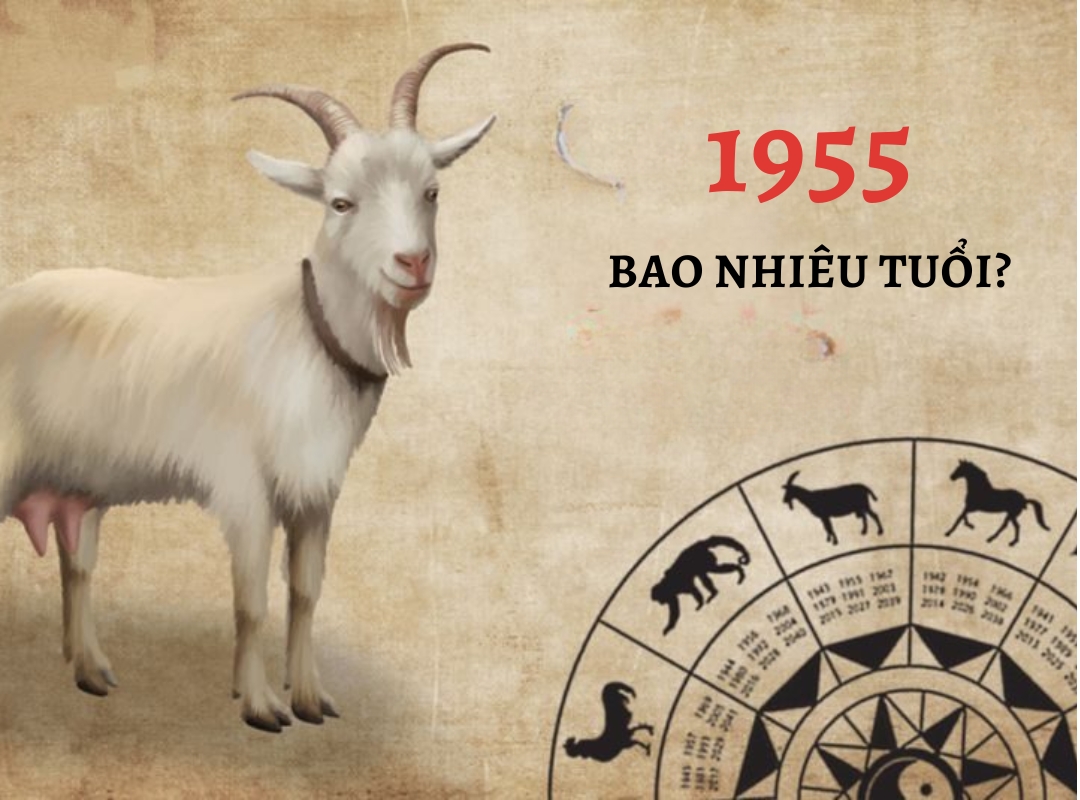 Tuổi Mùi 1955 Bao Nhiêu Tuổi? Gallery 1