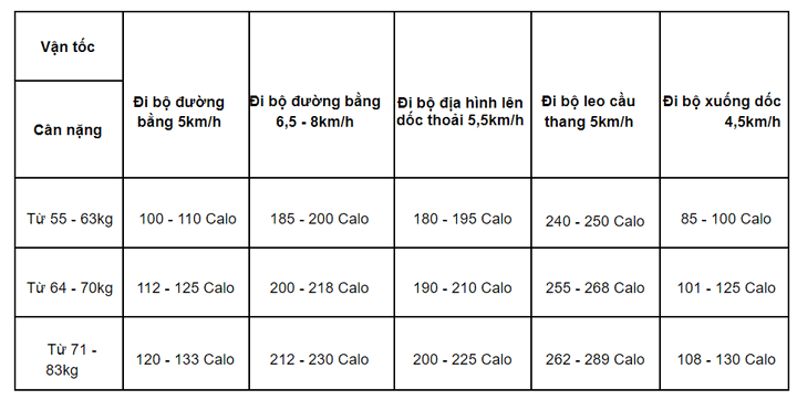 Chạy bộ tại chỗ đốt bao nhiêu calo? Gallery 2