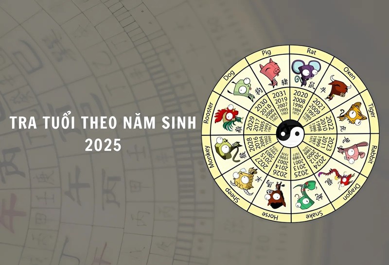 Năm nay năm mấy? Gallery 2