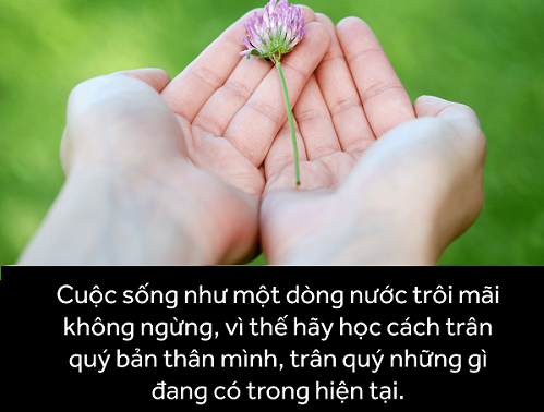Traân Quý Là Gì? Ý Nghĩa Và Cách Traân Trọng Cuộc Sống Gallery 2