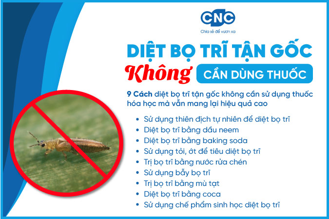 Cách Trị Bọ Trĩ Hiệu Quả
