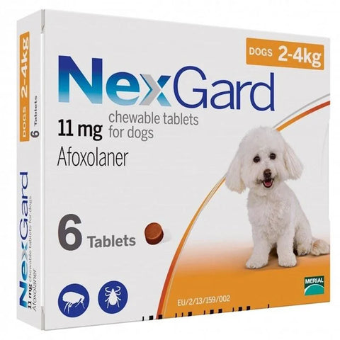 Cách Trị Ve Chó Poodle Hiệu Quả Và An Toàn