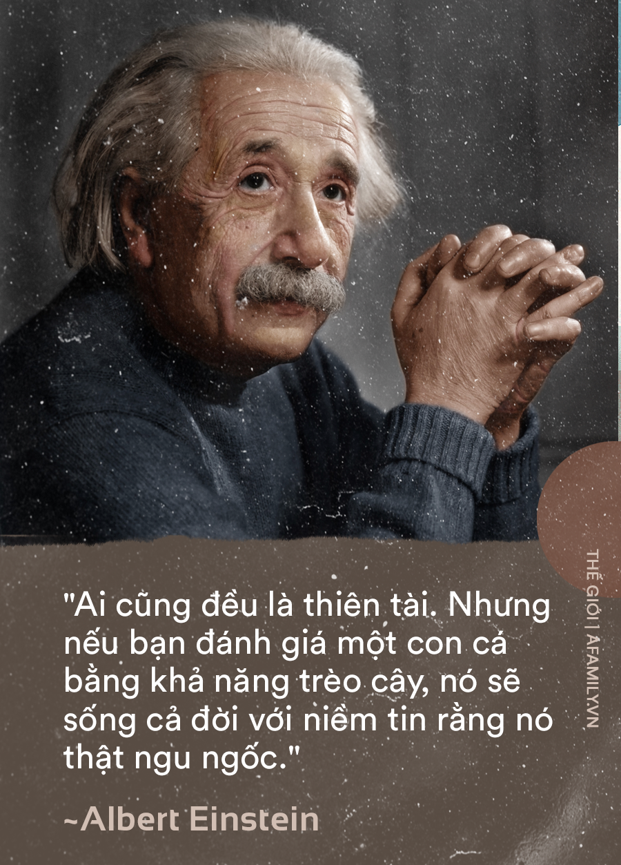 Cách Trích Dẫn Một Câu Nói Chuẩn Xác và Hiệu Quả
