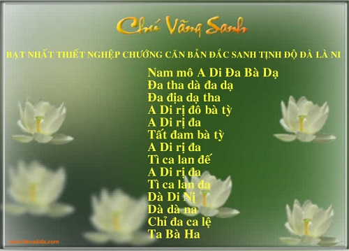 Vãng Sinh Tịnh Độ Thần Chú Gallery 2