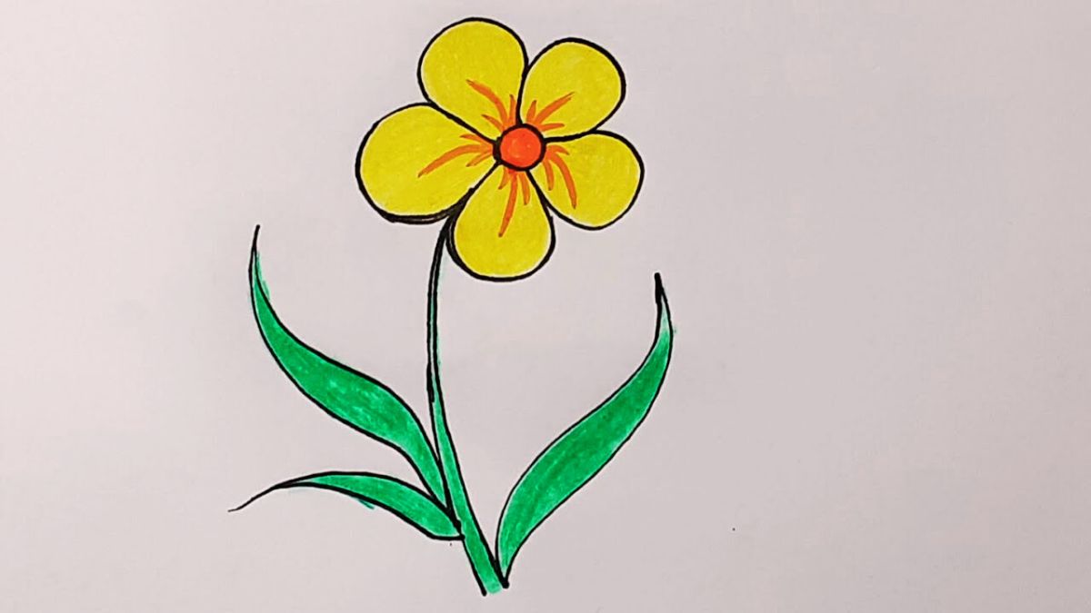 Hình Vẽ Bông Hoa 5 Cánh Gallery 1