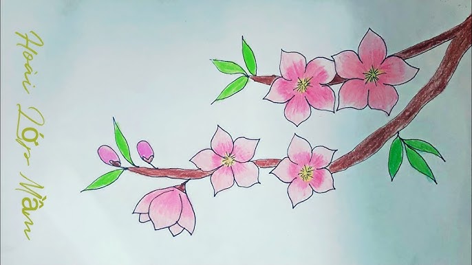 Cách Vẽ Cành Đào