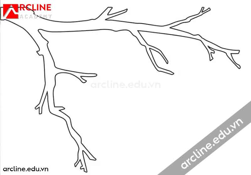 Cách Vẽ Cây Không Lá