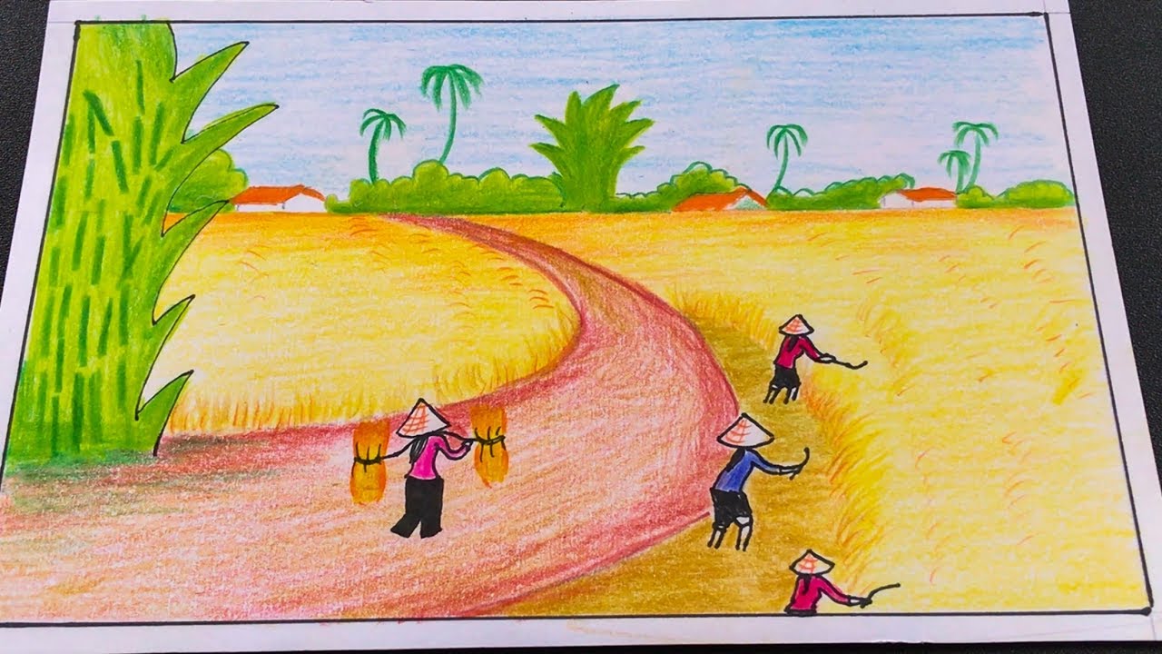 Cách Vẽ Đồng Lúa Chín Vàng Đơn Giản