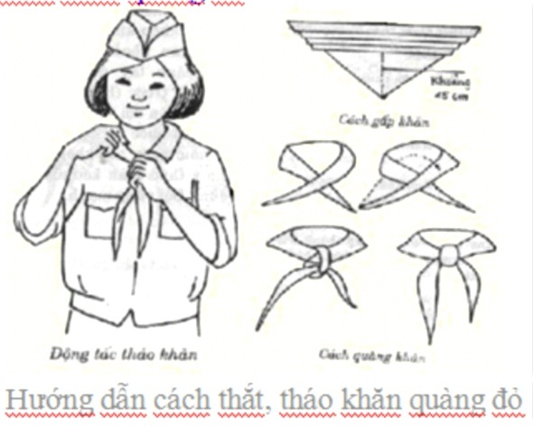 Cách Vẽ Khăn Quàng Học Sinh Đơn Giản và Đẹp