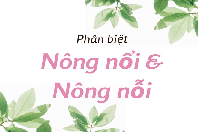 Nông nỗi hay Nông nỗi Gallery 2