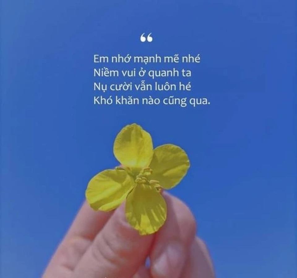 Status Vui Vẻ: Bí Kíp Chia Sẻ Niềm Vui Trên Mạng Xã Hội Gallery 2