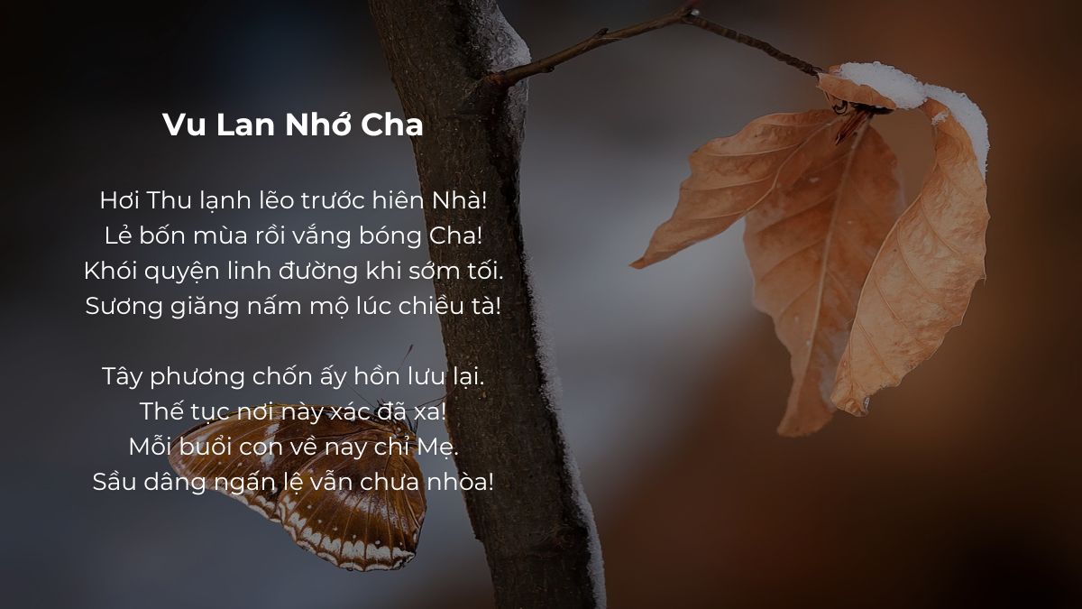 Thơ Nhớ Cha Đã Mất - Những Vần Thơ Da Diết Về Tình Cha Gallery 2