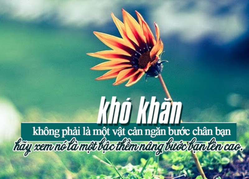 Vất vả là gì? Gallery 2