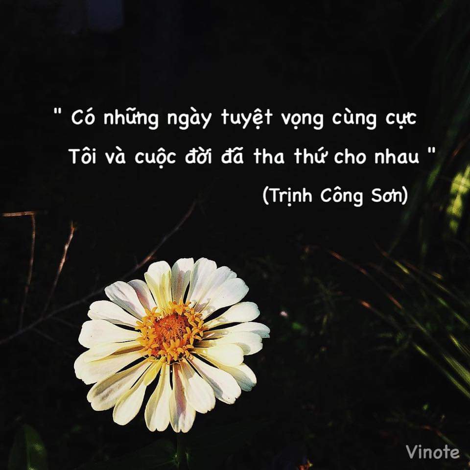 Ai đã khiến em buồn? Gallery 2