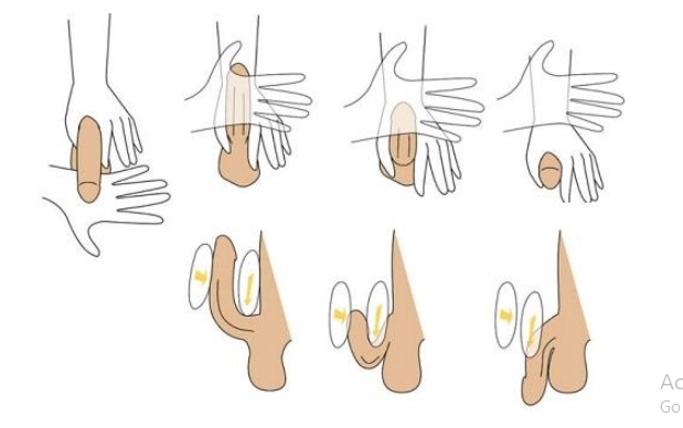 Cách Vuốt Ve Cậu Nhỏ