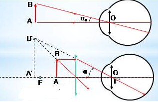 Độ Bội Giác Của Kính Lúp Gallery 2