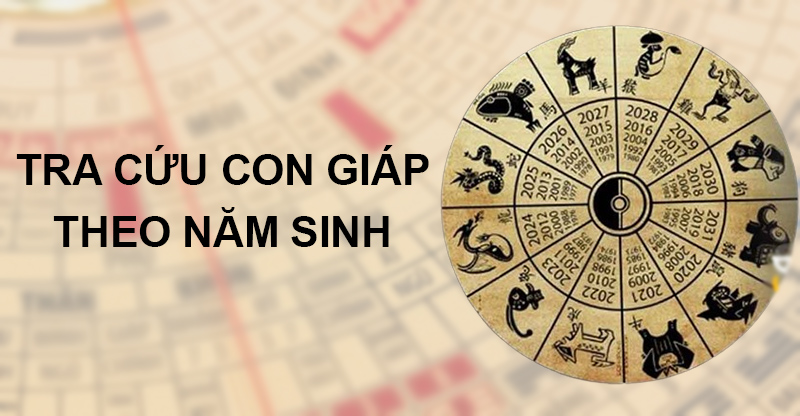 Tôi Sinh Năm Mấy? Gallery 1