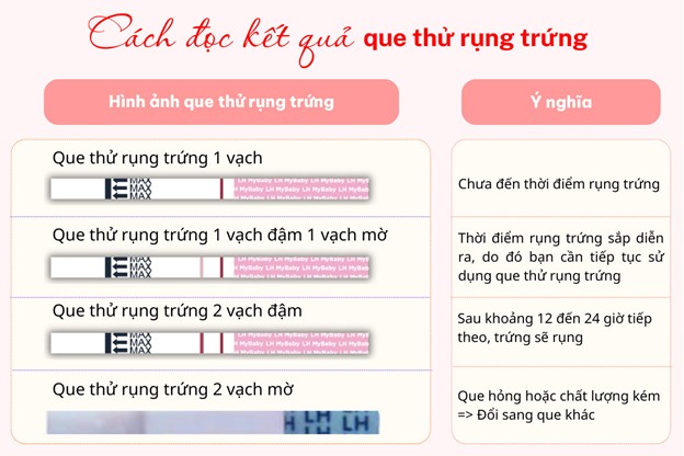 Thử que rụng trứng khi nào? Gallery 2
