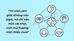 Không Cam Tâm: Nguyên Nhân, Hậu Quả và Cách Xử Lý Gallery 2