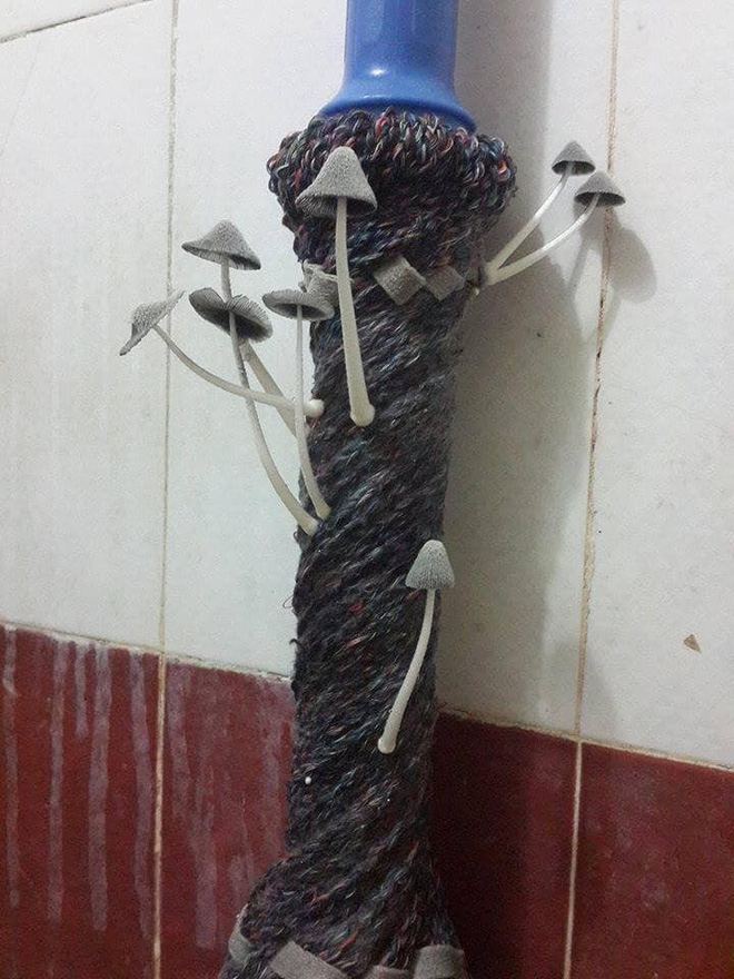 Cây Nấm Mọc Trong Nhà: Nguyên Nhân, Cách Xử Lý và Phòng Ngừa Gallery 2