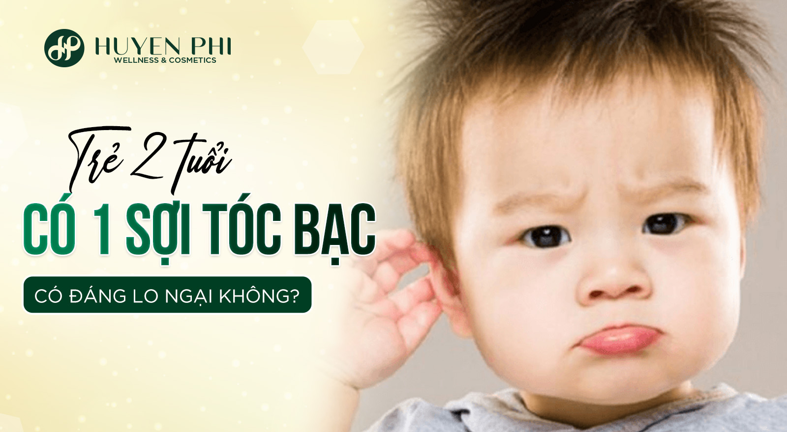 Có 1 sợi tóc bạc Gallery 2