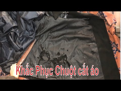 Hóa Giải Chuột Cắn Quần Áo Gallery 1