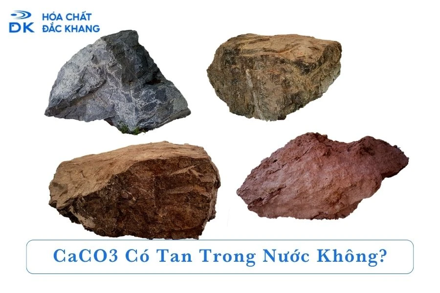 CaCO3 không tác dụng được với chất nào?