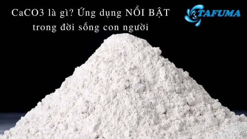 CaCO3 không tác dụng được với chất nào? Gallery 2