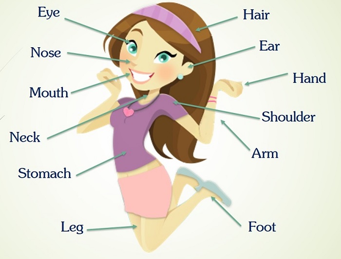 Cái chân đọc tiếng Anh là gì?