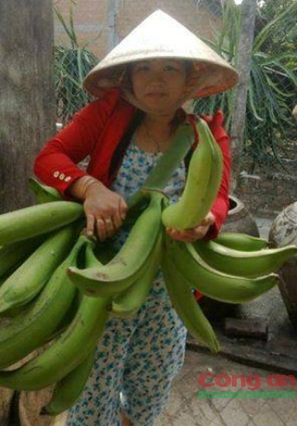 Cái gì dài như trái chuối?