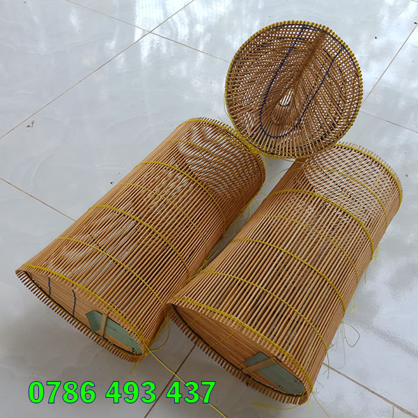 Cái Lợp Bắt Cá Là Gì? Hướng Dẫn Sử Dụng Và Lựa Chọn