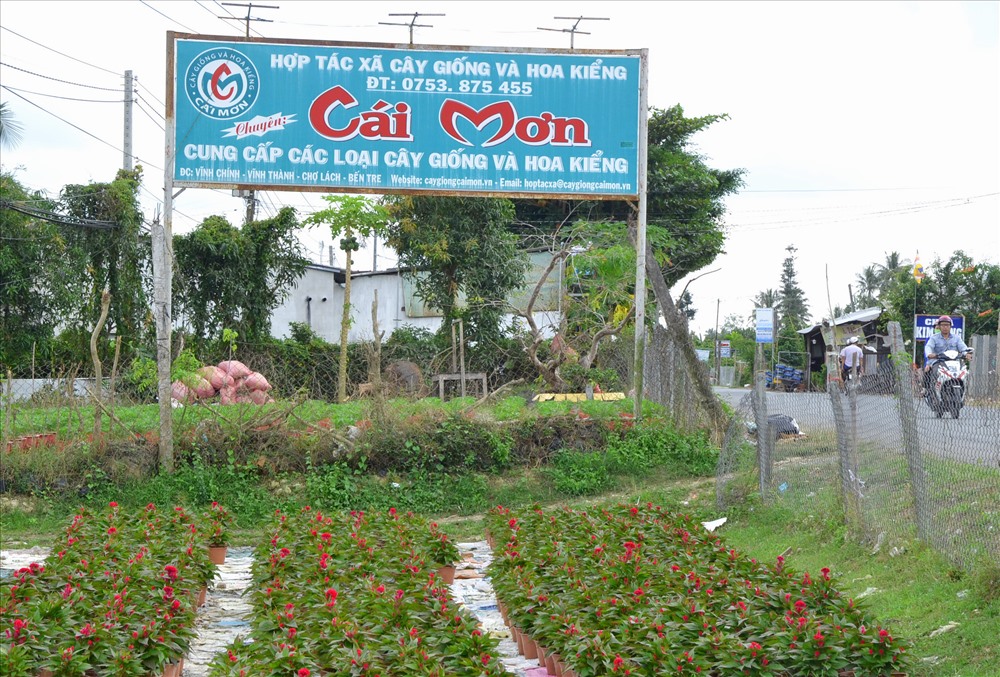 Cái Mơn Ở Đâu?