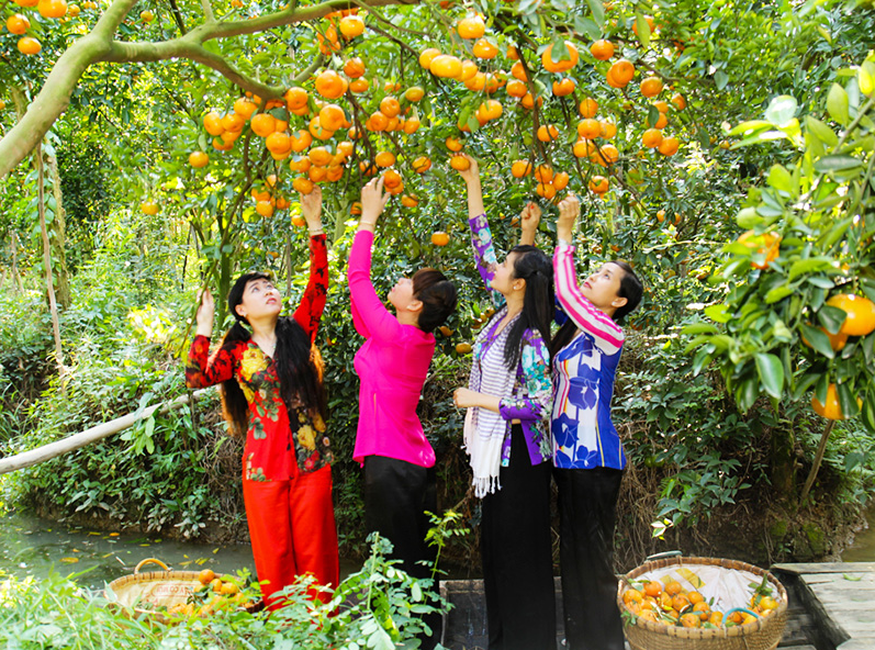 Cái Mơn Ở Đâu? Gallery 2