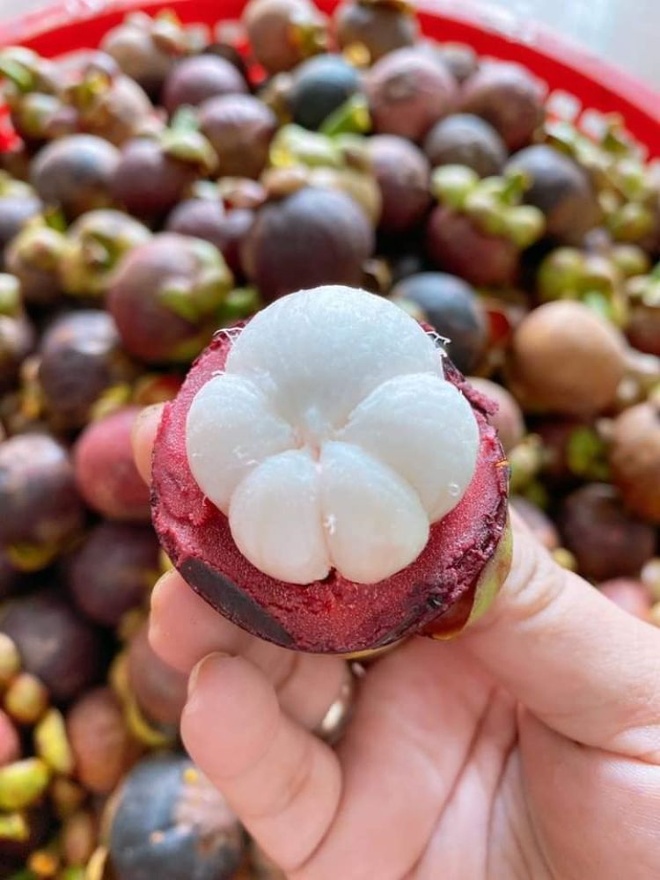 Cái Mơn Thuộc Tỉnh Nào?