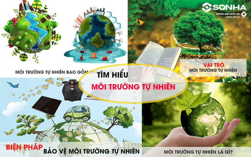 Vai trò của con người trong việc bảo vệ và cải tạo môi trường tự nhiên Gallery 2