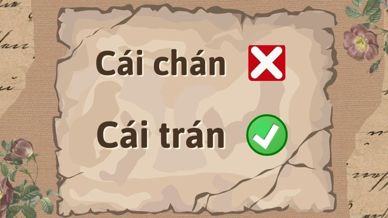Cái trán hay cái chán? Gallery 2