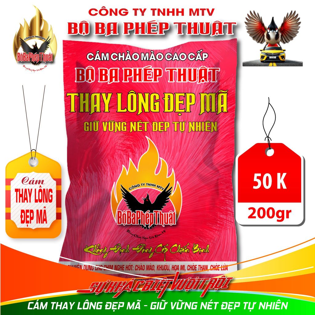 Cám bộ ba phép thuật là gì? Gallery 2