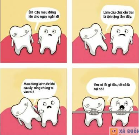 Cam Chịu Là Gì?