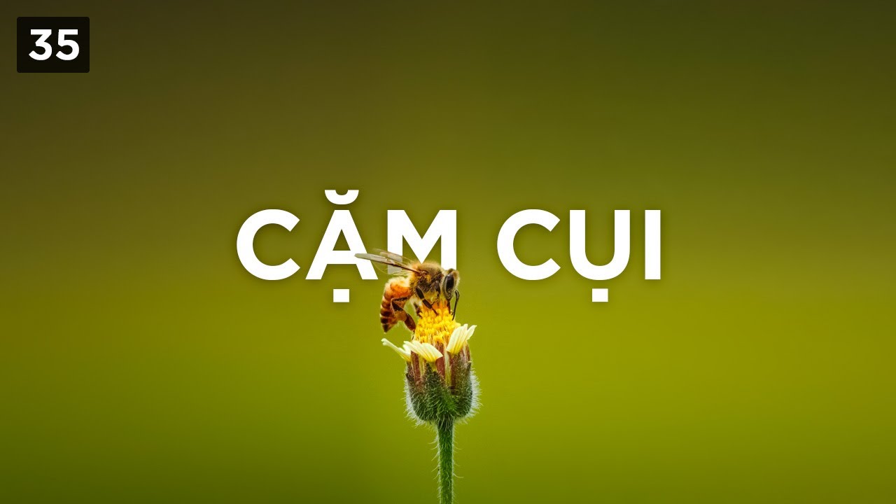 Cặm cụi là gì?