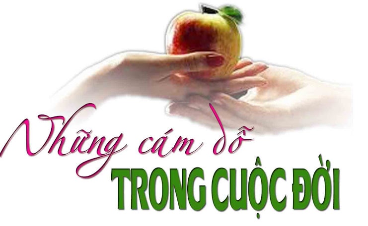 Cám Dỗ Cuộc Đời