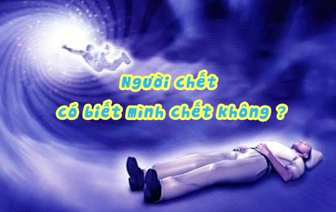 Linh hồn người mới chết: Có gì sau cái chết? Gallery 1