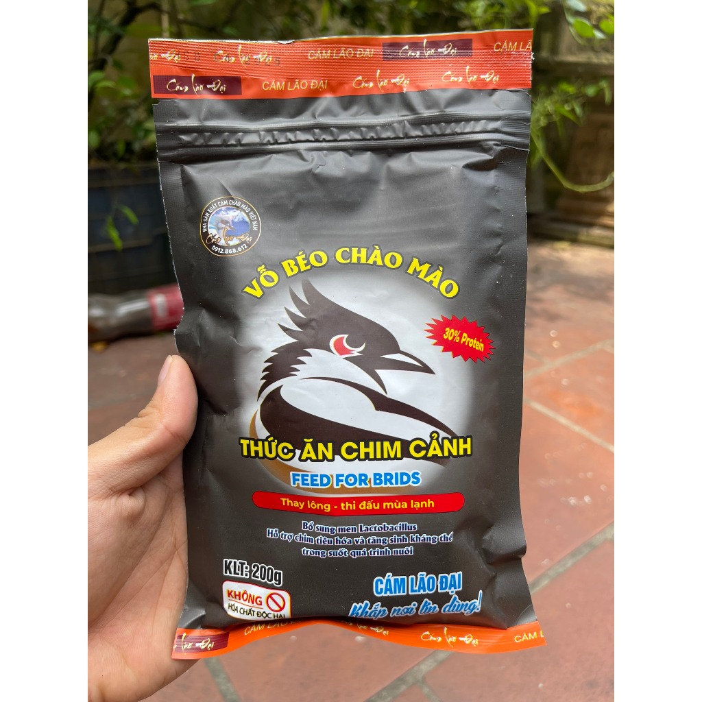 Cám Lão Đại Có Tốt Không?