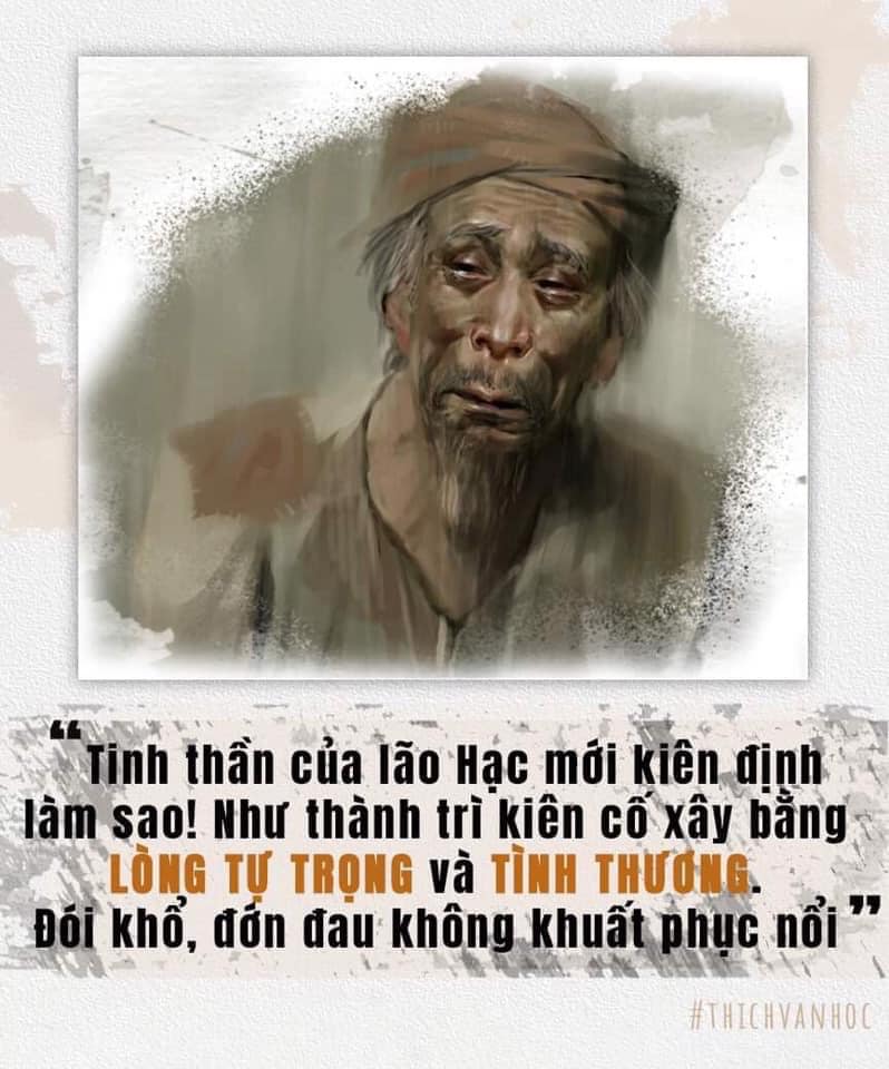 Cảm nhận về Lão Hạc