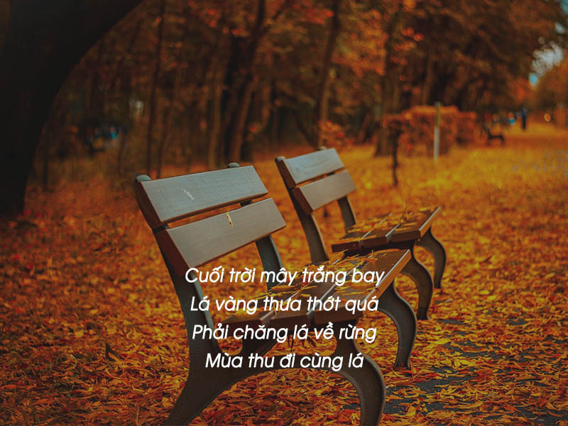 Thơ Về Thu: Tuyển Tập Những Bài Thơ Hay Và Sâu Lắng Nhất Gallery 1