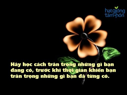 Cảm nhận những gì tôi biết Gallery 2