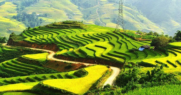 Cảm nhận về bài thơ Đất Nước từ câu 10 đến câu 29