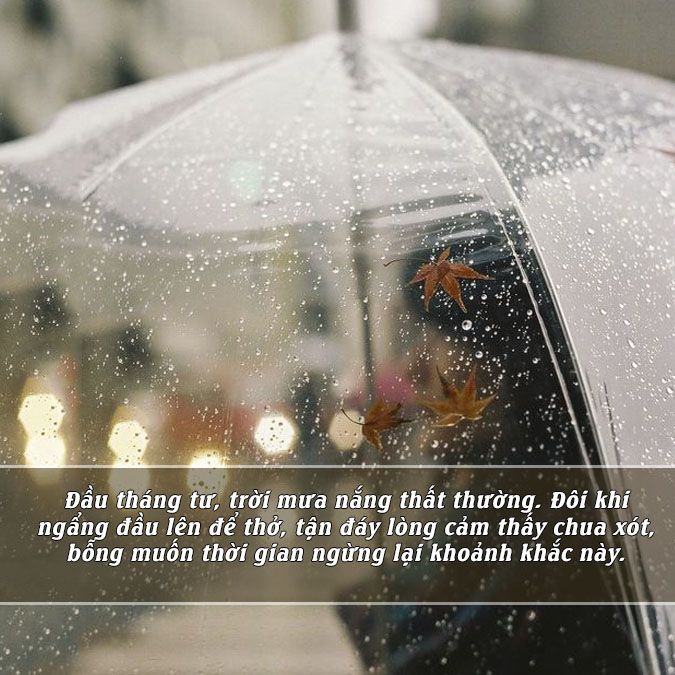 Trời tháng tư có mưa rơi Gallery 1