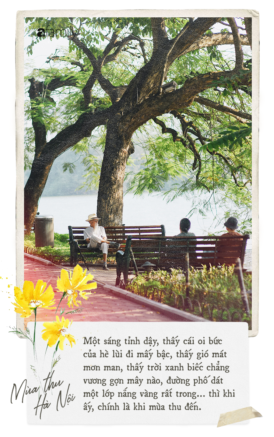 Cảm nhận về mùa thu